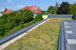 2. místo - Zelená střecha na mateřské škole v Opavě.