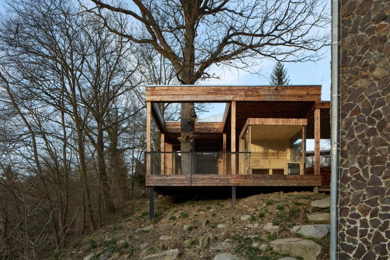 Povedlo se zachárnit dokonce vzrostlý dub, který teď domem prorůstá. (Dům Medník, päivä architekti)