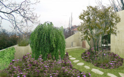 Dům s klenbami, Šépka architekti,