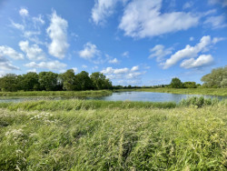 Park u vodního příkopu Motlawy