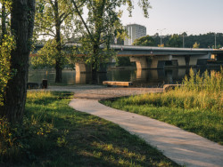 Zeleň je místy divoká - v parku je určeno několik bezzásahových zón. (Park U Vody v Praze-Holešovicích, YYYY)