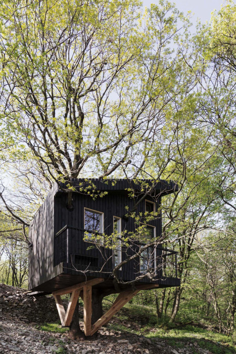 Tree-House DUBoDOM, ateliér StromDom
