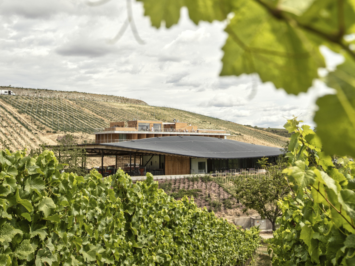 Hlavní budova má výraznou organicky tvarovanou střechu, která na ni stahuje pozornost. (ARTEVINI Resort & Winery u Velkých Pavlovic; znamení čtyř – architekti)