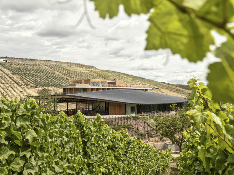 Hlavní budova má výraznou organicky tvarovanou střechu, která na ni stahuje pozornost. (ARTEVINI Resort & Winery u Velkých Pavlovic; znamení čtyř – architekti)