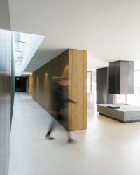 Vila P, Bergmeisterwolf