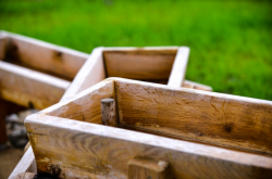 Zahrada základní a mateřské školy v Kolodějích, Skupina