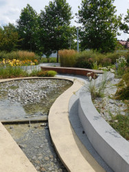 . Městský park v centru Jaworzna