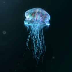 Archaické aktuality v zahradě Anežského kláštera, Jiří Černický.