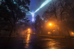 Belcador, Medusa - foto