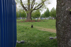 Krajinářský workshop s finským architektem Sami Rintalou a architektem Ivanem Kroupou (UMPRUM) v rámci letošního Landscape festivalu v Ostravě.