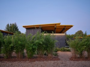 Každý domek má v zahradě svůj vlastní vymezený kus oddělený výsadbou nebo nízkými ploty z opalovaného dřeva. (Bee House; Petr Novák)