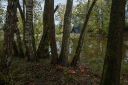 Aleš Polák si v jižních Čechách postavil chatu u rybníka. Je postavena ze dřeva, které vysázel jeho dědeček.