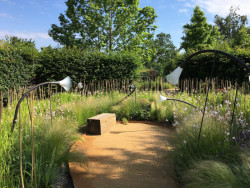 Zahrada sdíleného vědomí od studentů Fakulty architektury ČVUT. Foto: Tereza Havránková