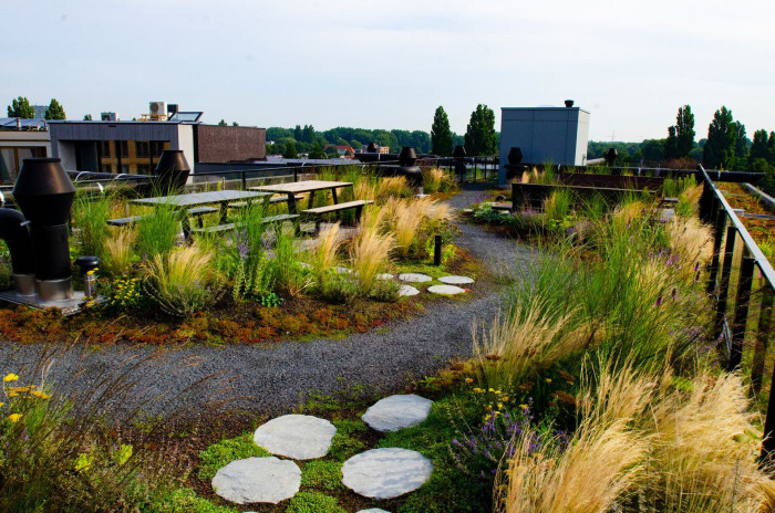 Modrozelené střechy dokáží tiše, efektivně a dlouhodobě pracovat přímo nad našimi hlavami.