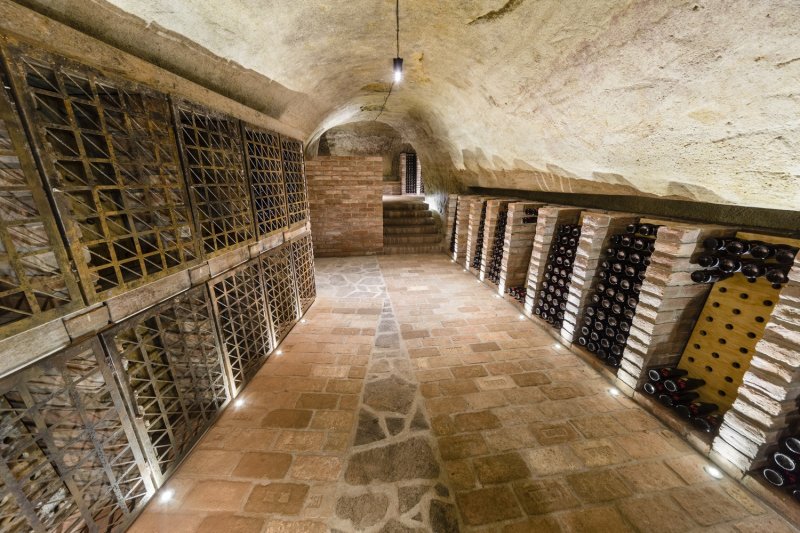Vinný sklep Konice, Tomáš Dvořák architekti