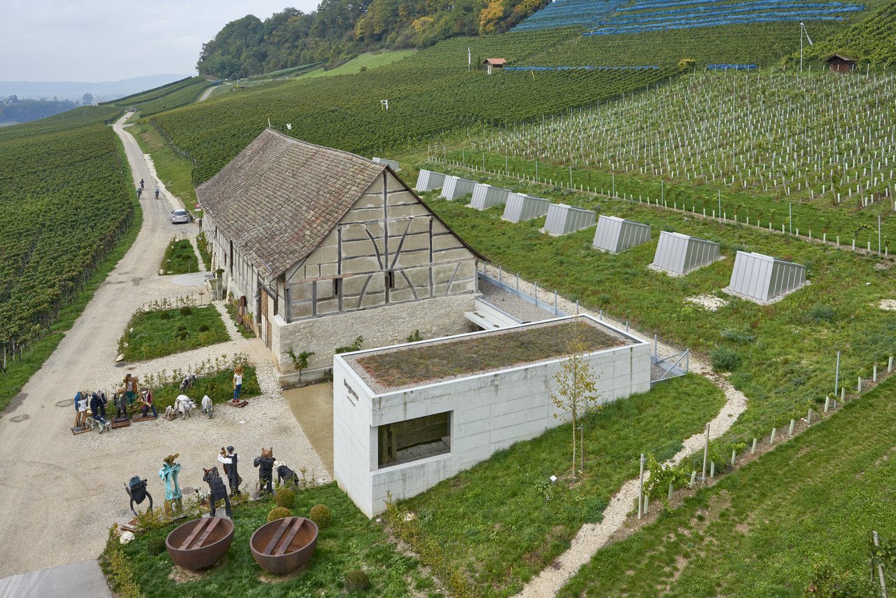 Taneční sál pod vinohradem, SPPA Architekten © Jürg Zimmermann