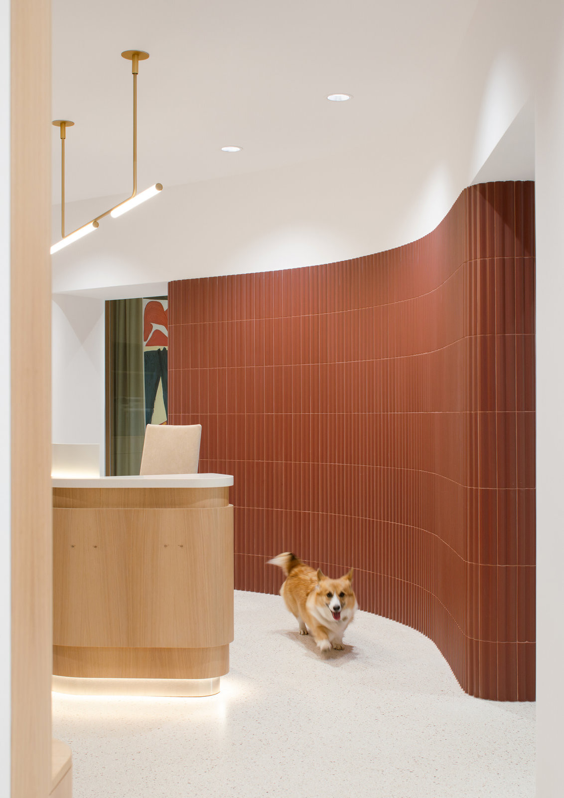 Výraznou proměnou prošly dříve tmavé chodby. Nově jsou pojaté jako jemně zakřivené průchody obložené červenými keramickými obklady. (Zrekonstruované kanceláře v Paláci Akropolis; Marco Maio Architects)