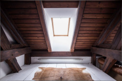 ORA, Jaro, léto, podzim, zima… a jaro – foto