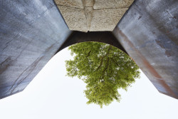 Průhled k nebi částečně ukončuje mohutná koruna stromu. (Smuteční síň ve Vimperku, Jakub Vašek)