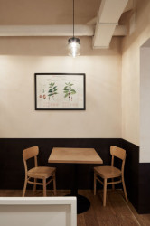 Kafe Francin, DDAANN