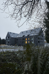 Pozemek není vymezen oplocením. (Bytový dům Krušec, monom)