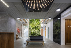 Zubaři Nad Mlýnem, studio Raketoplán