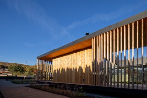 Rodinný dům v obci Borinka na Slovensku, ateliér Kubis Architekti: Zeleň se pro realizaci stala důležitým faktorem, do půdorysu domu je integrována vícekrát formou výřezů