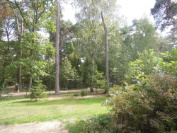 Původní stav pozemku