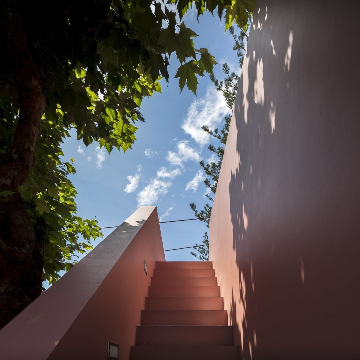 Pink House, Mezzo Atelier