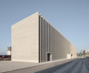 Kantonální muzeum výtvarného umění Lausanne, Barozzi Veiga