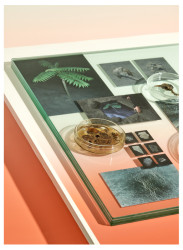 Kristína Opálková - Ateliér fotografie II - Urban Biotope