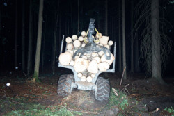 Kloboucká lesní, příběh lesa