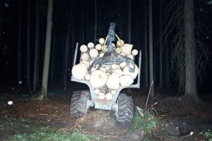 Kloboucká lesní, příběh lesa