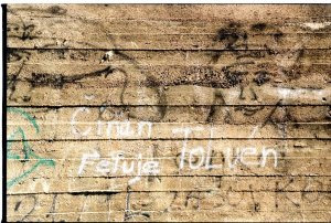 Zpracování projektu revitalizace Poohří