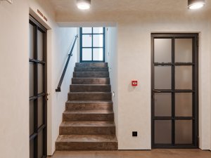 Vila Mudroňova, Ilja Skoček