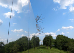 Delugan Meissl Associated Architects, Casa Invisible - foto