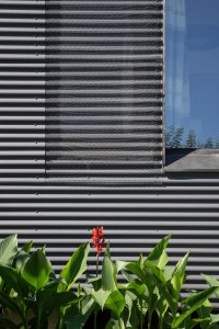 Perforace fasády (Rodinný dům u Rozkoše, MOLO architekti)
