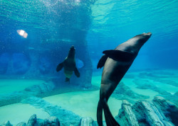 Afrykarium ve Vroclavi