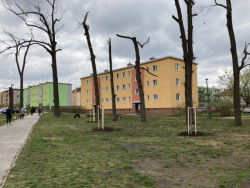 Nadace Proměny Karla Komárka vyhlašuje výzvu k obnově parku před Základní školou U Červených domků v Hodoníně