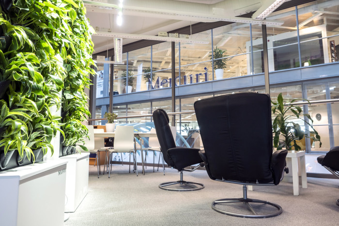 Jednorázové pronájmy rostlin a zelených stěn na eventy od Jungle Interiors