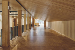 Uhlíkově neutrální kulturní centrum Sara od White Architekter