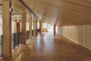 Uhlíkově neutrální kulturní centrum Sara od White Architekter