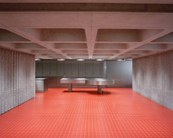 Výstava unikátních fotografií české ambasády bude probíhat do poloviny září