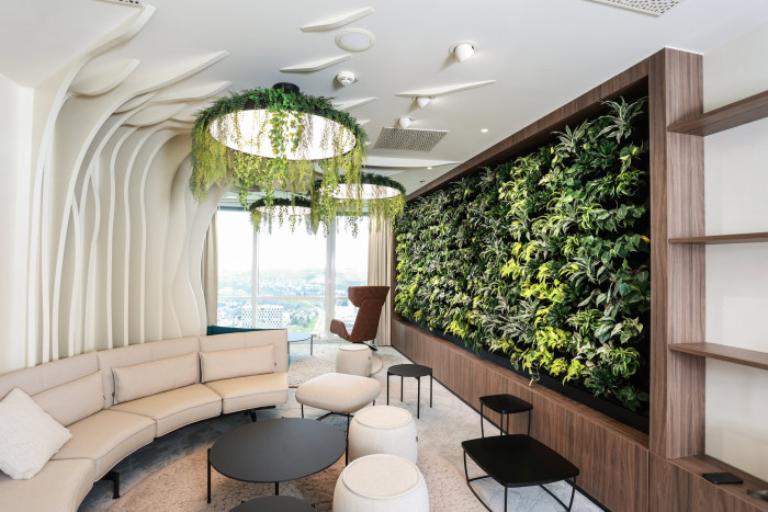 Zelené stěny od Jungle Interiors