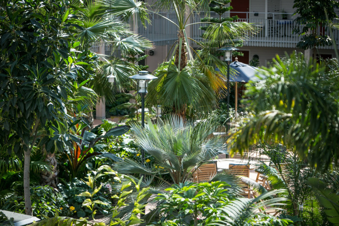 Zelená atria od Jungle Interiors promění z obyčejného prostoru místo s příznivou akustikou, vyváženým klimatem a příjemným prostředím.