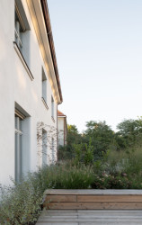 V okolí stojí několik dalších stejných bytových vil. Byly totiž projektovány dohromady ve 20. letech. (Rekonstrukce a přístavba k vile v Praze-Vinohradech, PAPUNDEKL ARCHITEKTI)