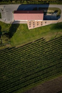Wine bar Reisten v Pavlově od ORA