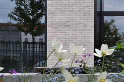 V Praze roste Smíchov City. Součástí tohoto rezidenčního komplexu je i bytový dům od ateliéru Kuba & Pilař.