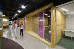 M+N Architecture, Viola Communications Office - foto