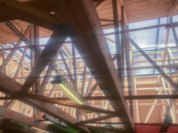 Samoobsluha v Seči od Žalský architekt